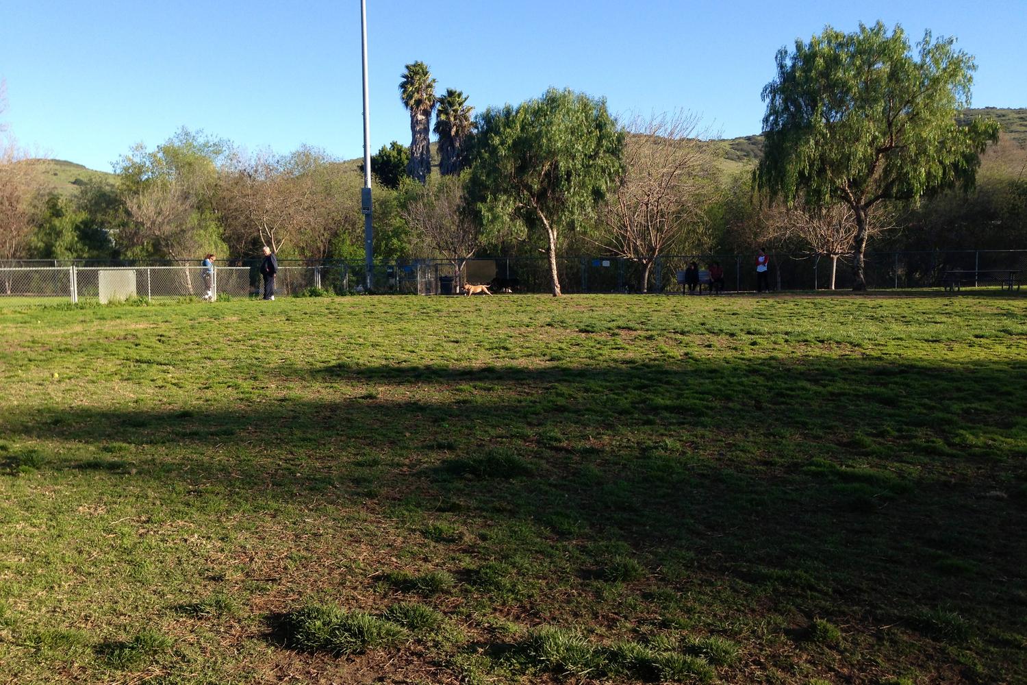 Poway Dog Park 6