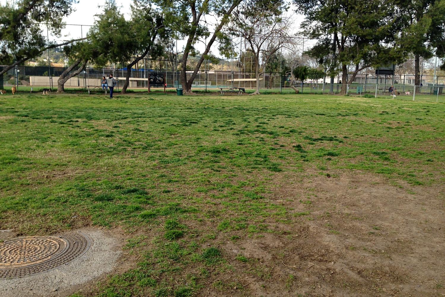 Poway Dog Park 5