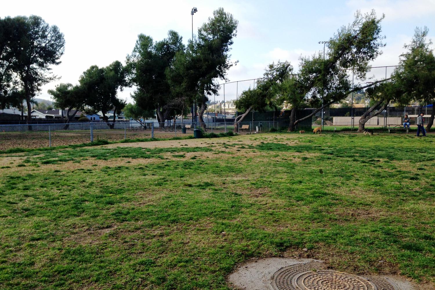 Poway Dog Park 3
