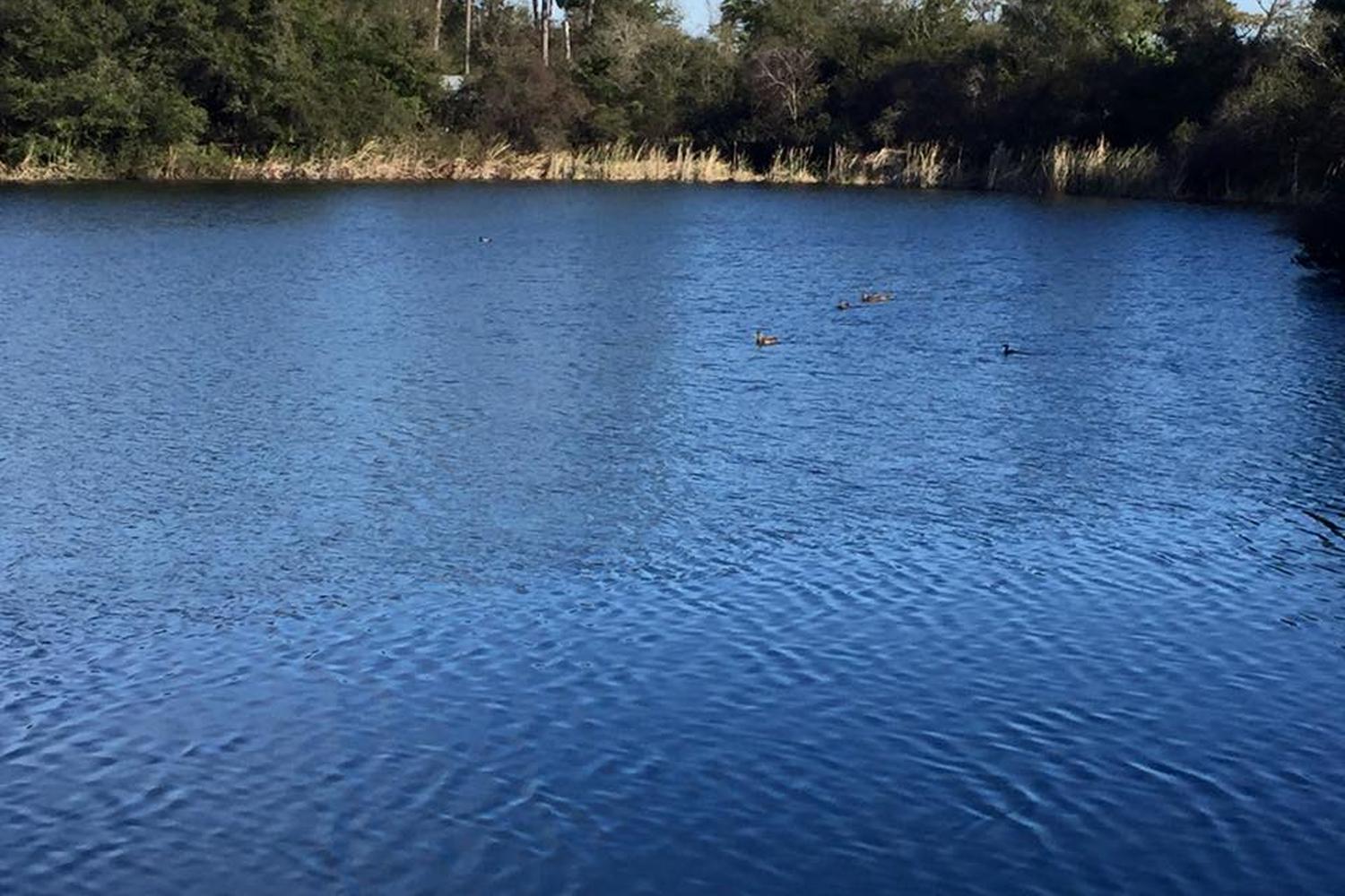 Eagle Lake Park 0