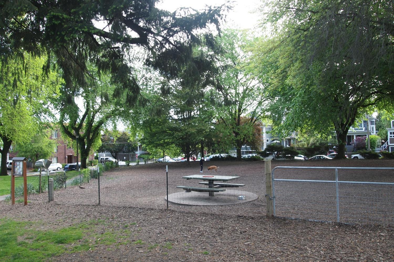 Wallace Park Off Leash Dog Area 0