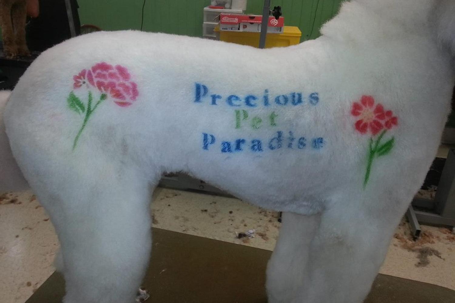 Precious Pet Paradise 2