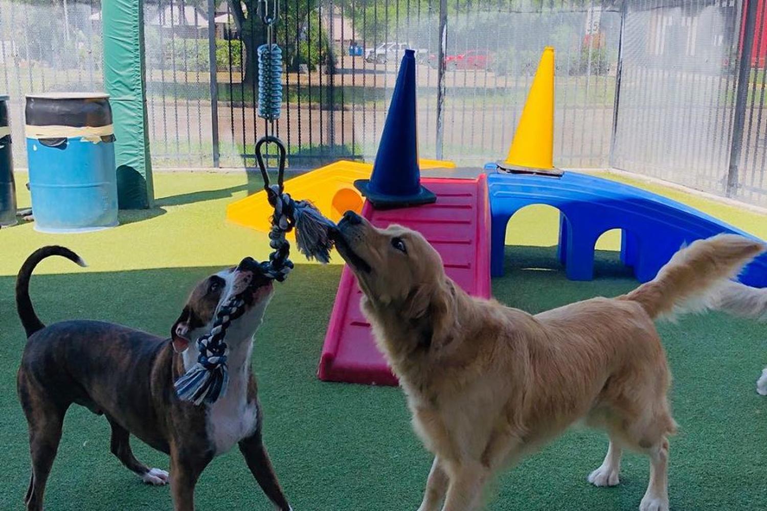 The Dog House Pet Salon Memorial 4