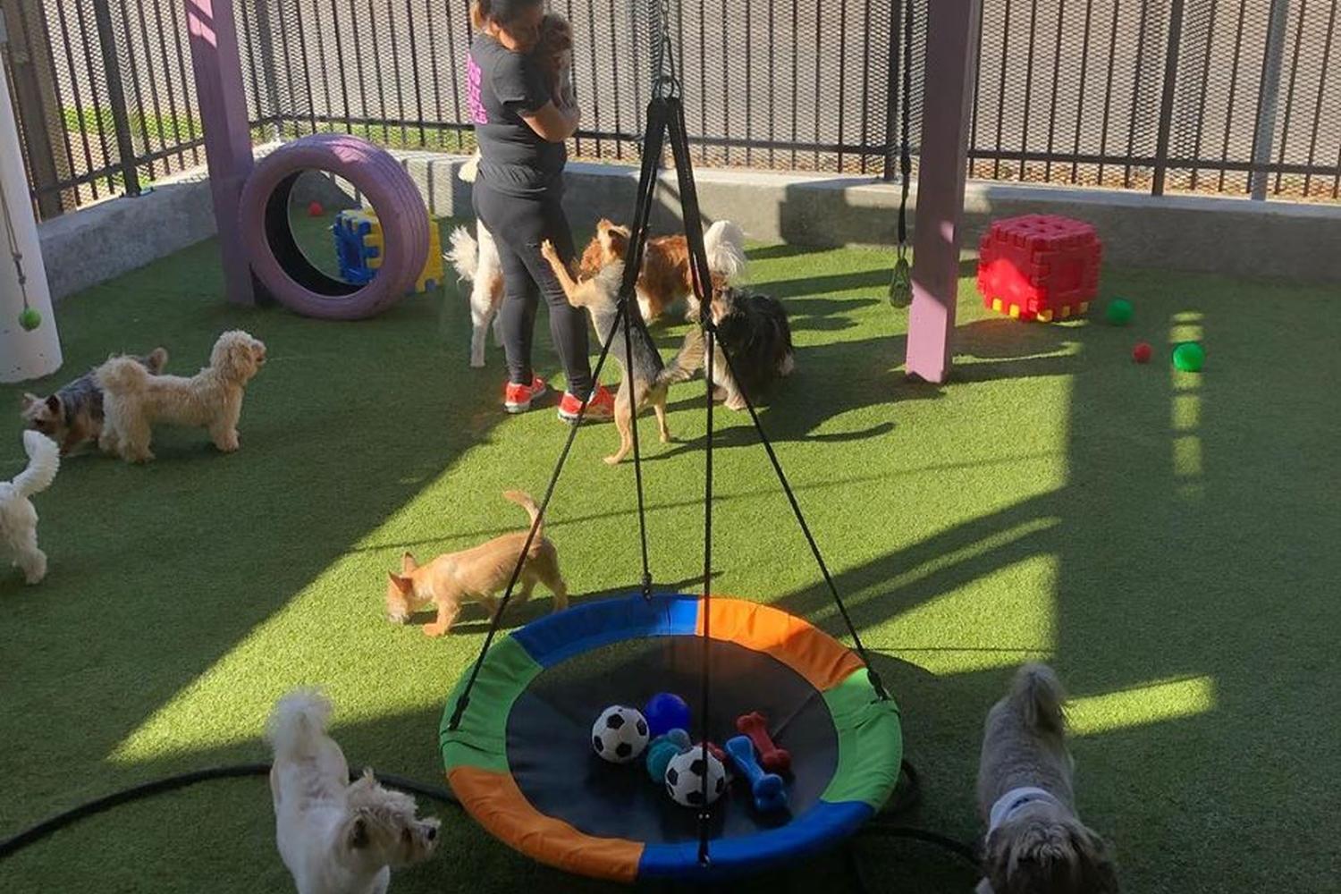 The Dog House Pet Salon Memorial 2