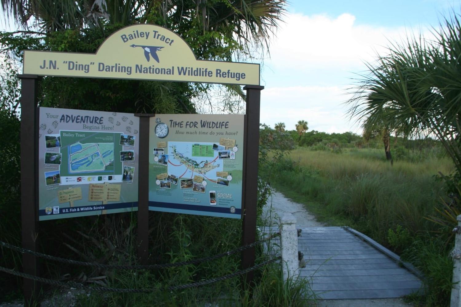 J.N. Ding Darling National Wildlife Refuge 6