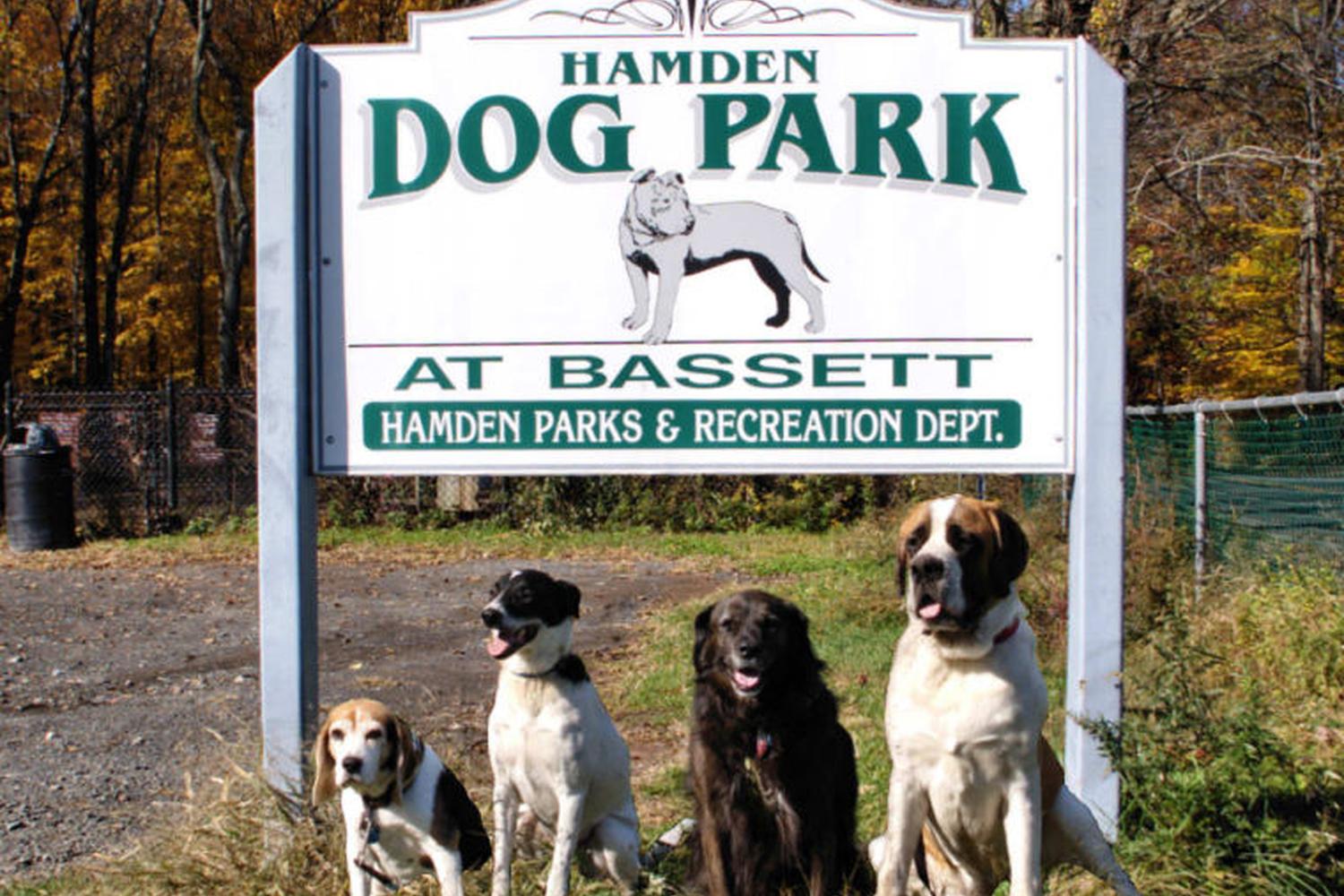 Hamden Dog Run at Bassett Park 4