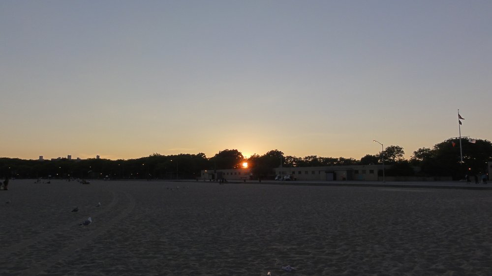 Manhattan Beach Dog Run 2
