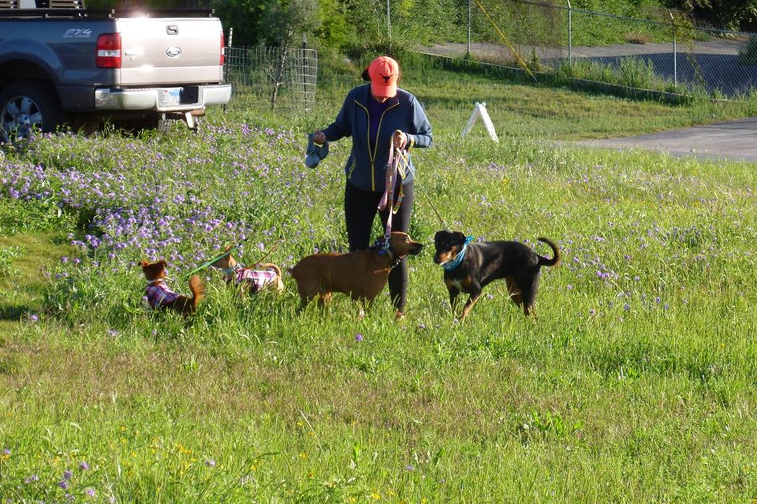New Braunfels Dog Park 2