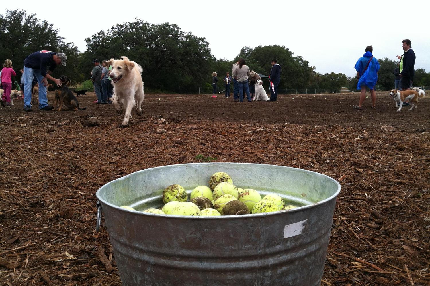 New Braunfels Dog Park 3