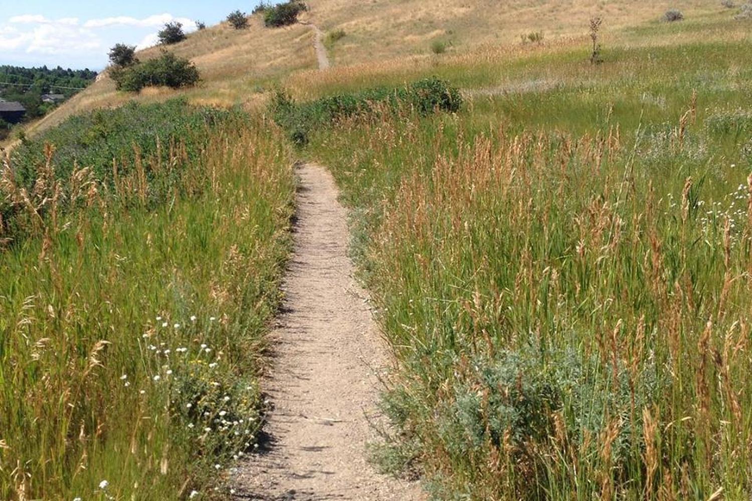 Peets Hill/Burke Park 3