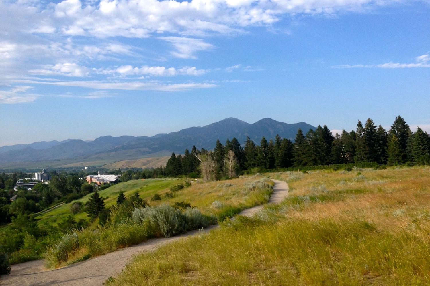 Peets Hill/Burke Park 4