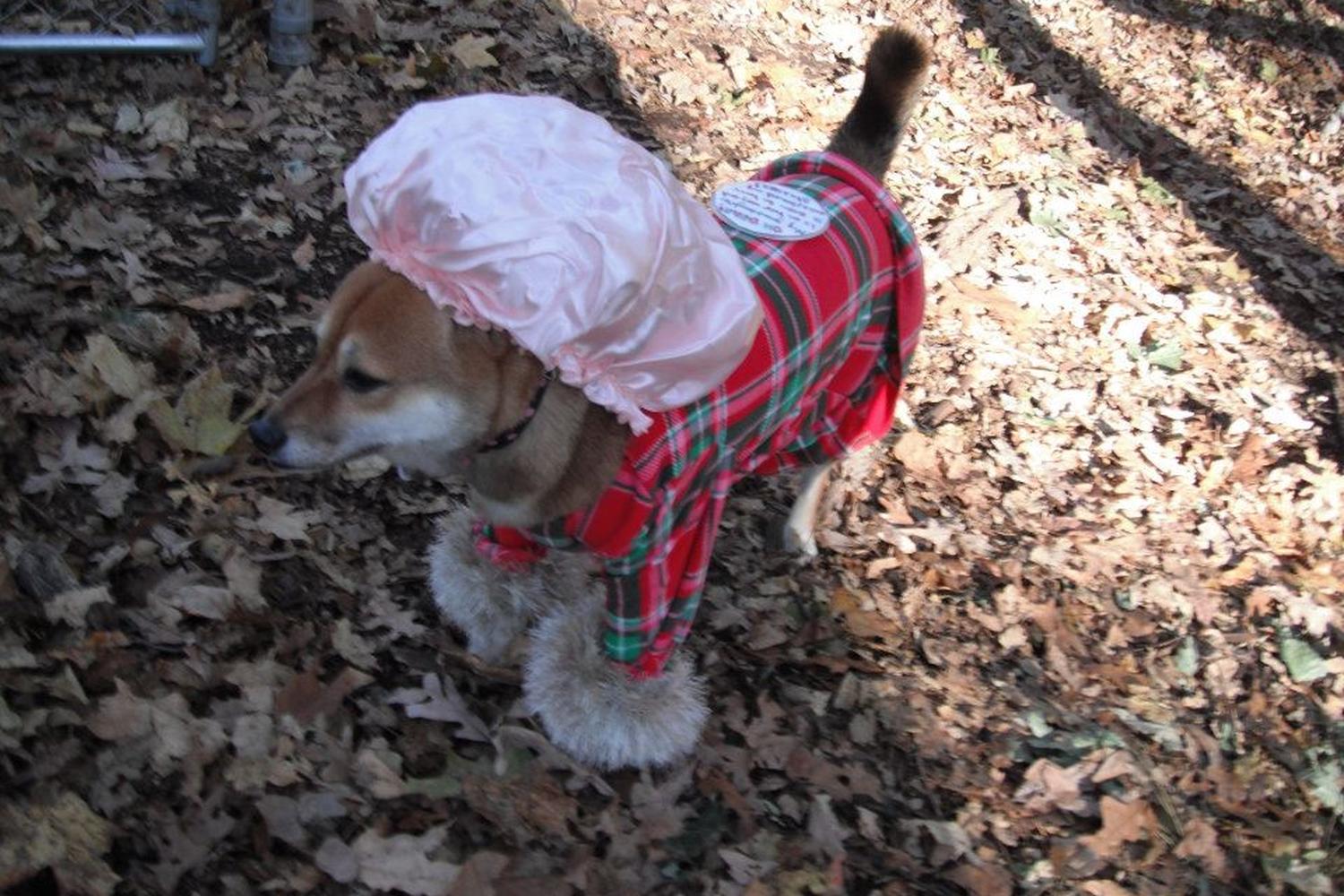 Cedar Lane Dog Park 0
