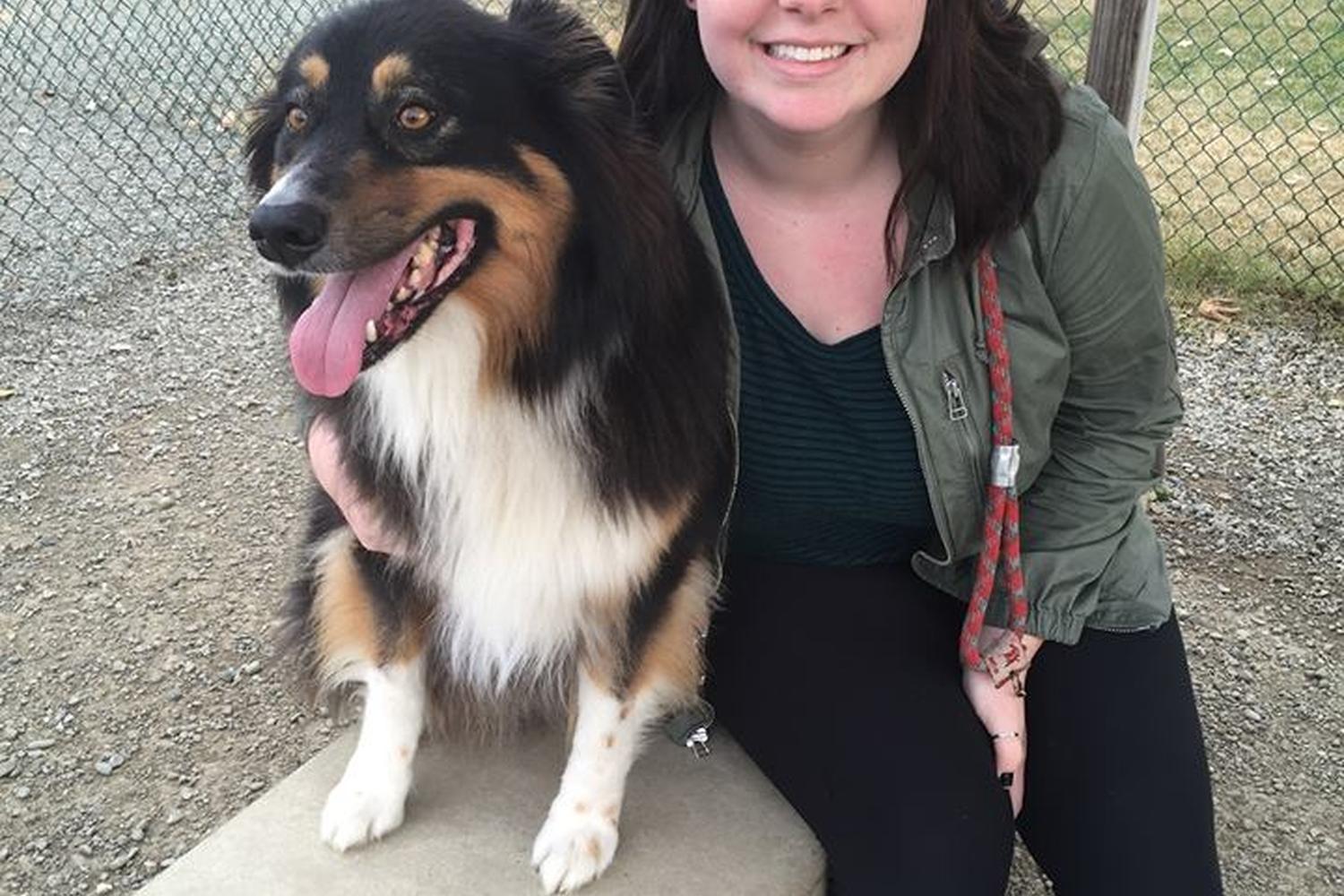 Toad Hollow Dog Park 2