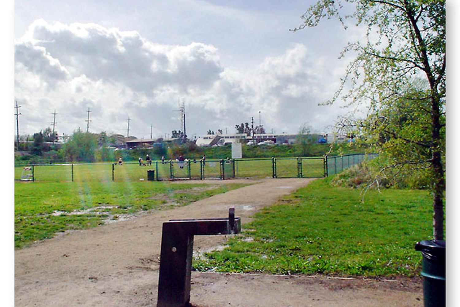 Toad Hollow Dog Park 6