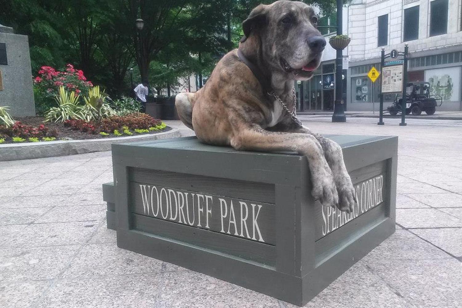 Woodruff Park 1