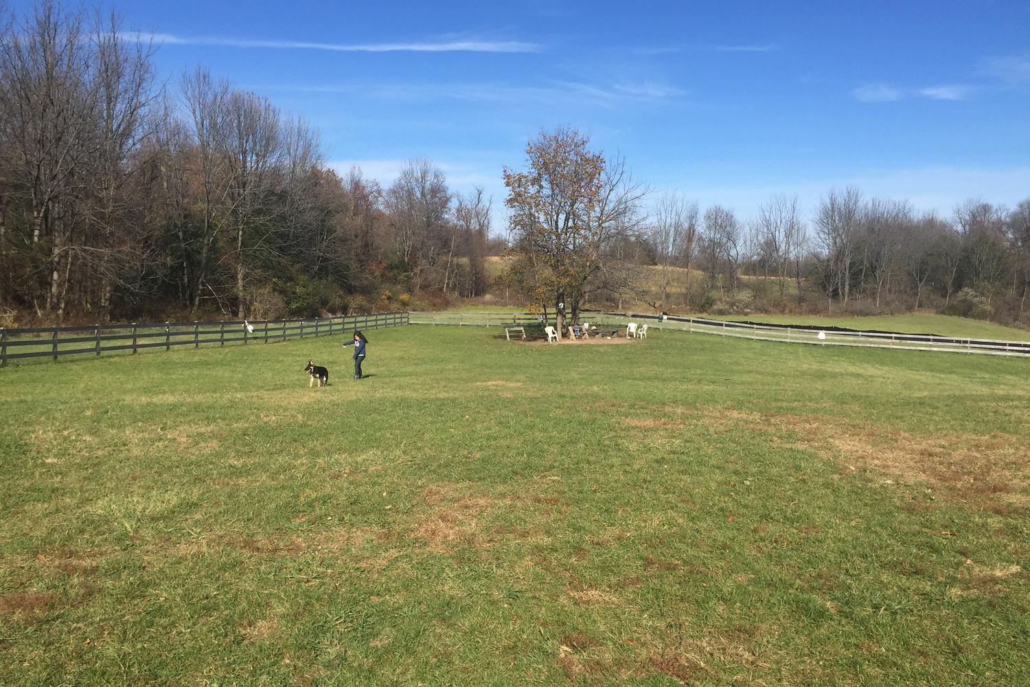 Vernon Off-Leash Dog Park 0