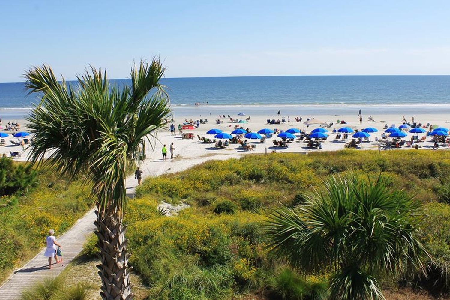 The Sea Pines Forest Preserve 1
