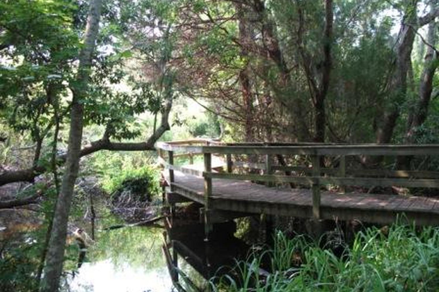 The Sea Pines Forest Preserve 0