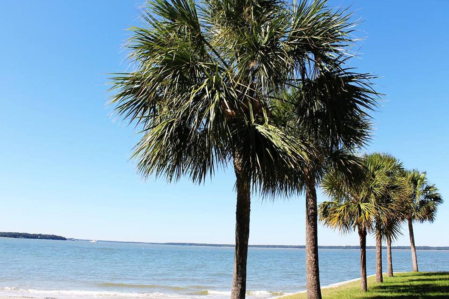 The Sea Pines Forest Preserve 4