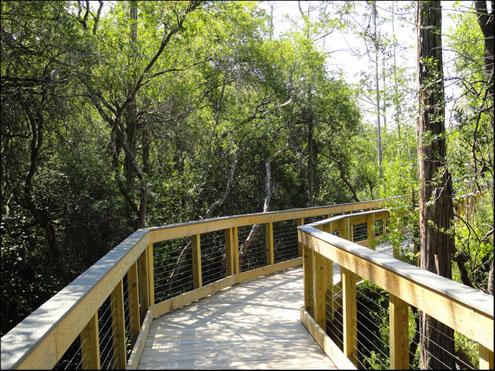 Conservation Park 4