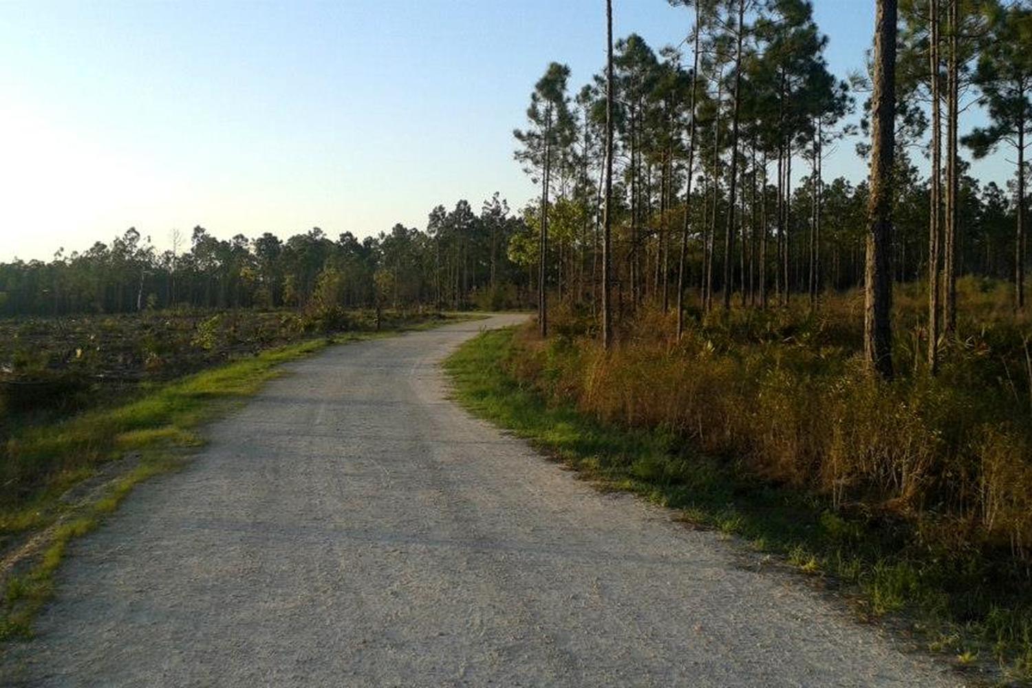 Conservation Park 3