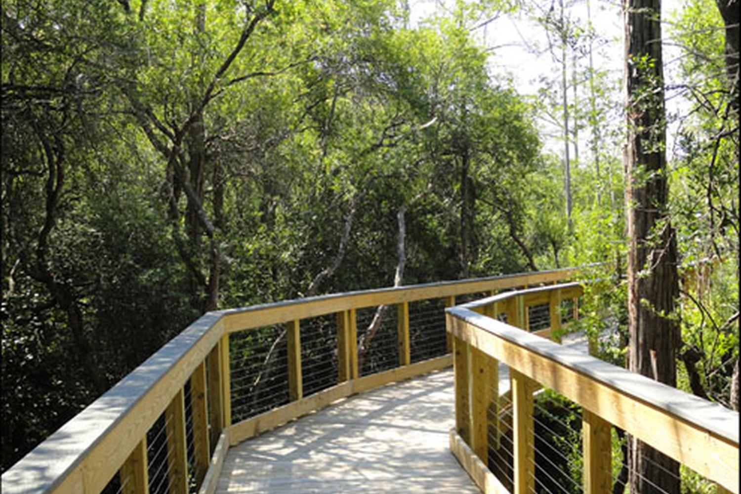 Conservation Park 0