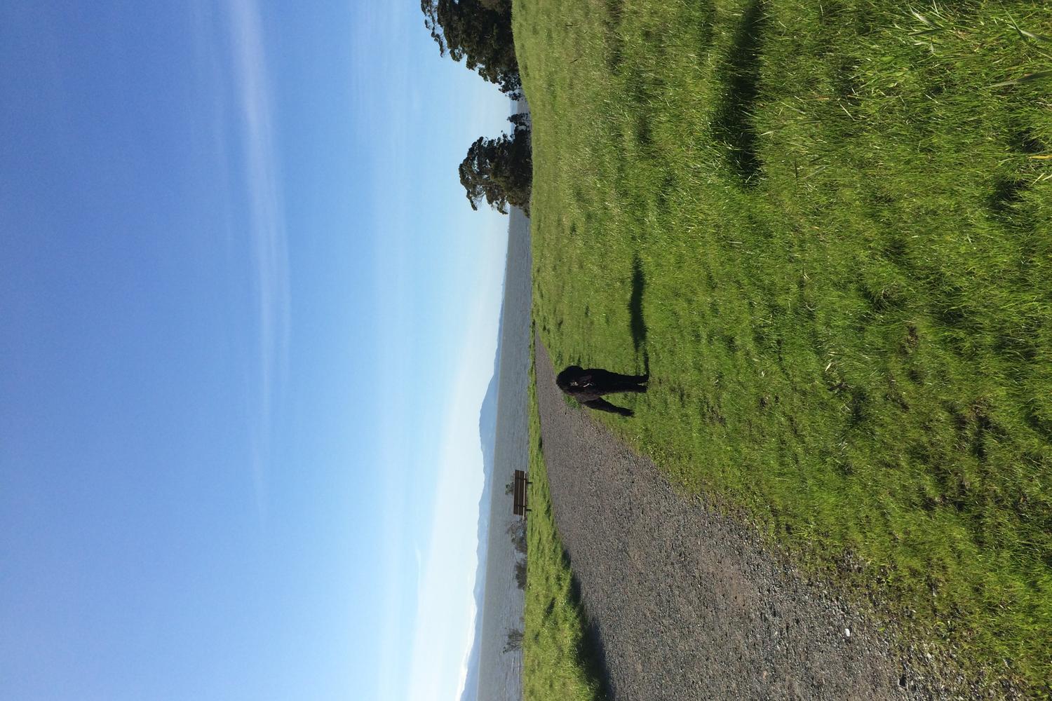 Point Pinole Regional Shoreline 3