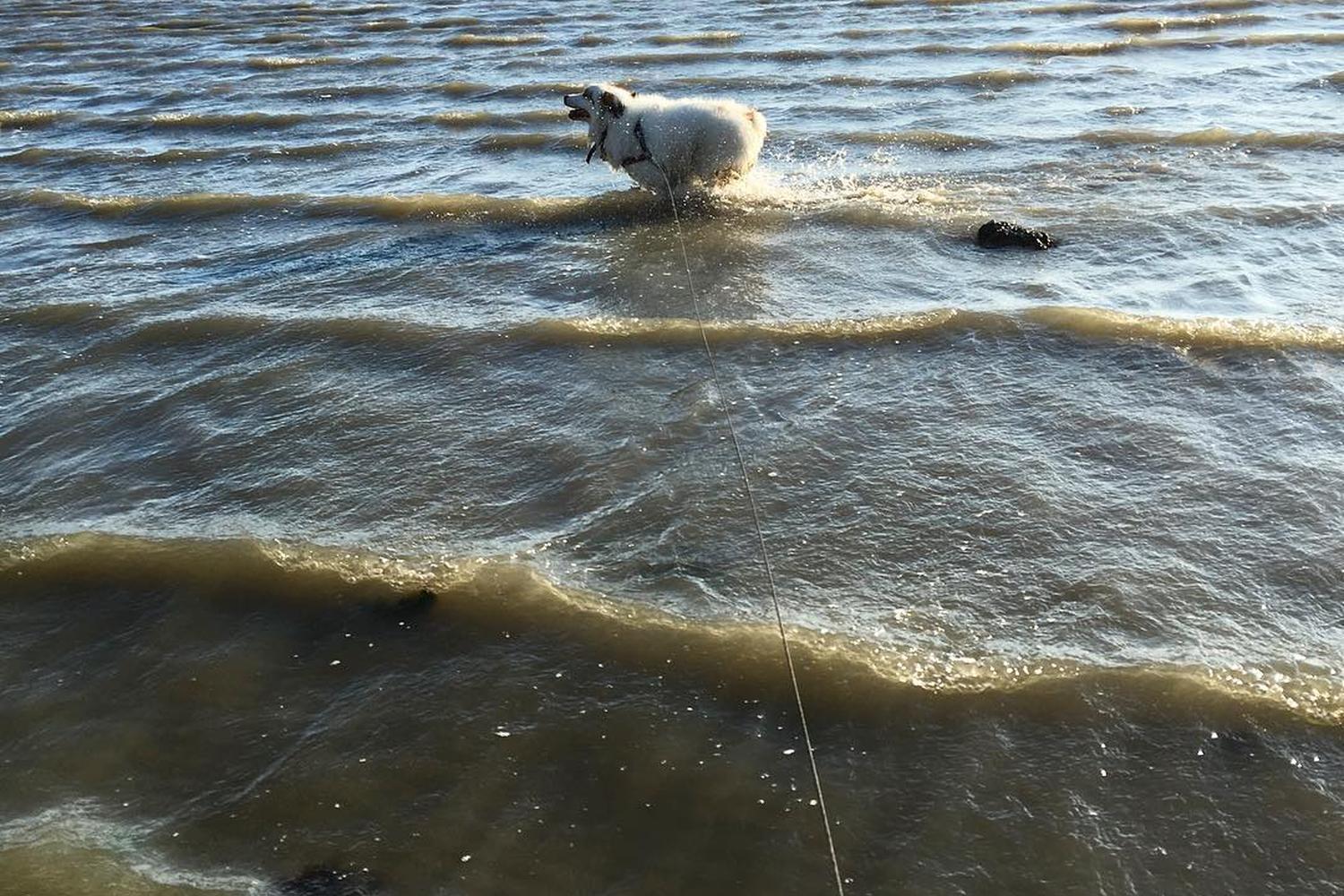 Point Pinole Regional Shoreline 2