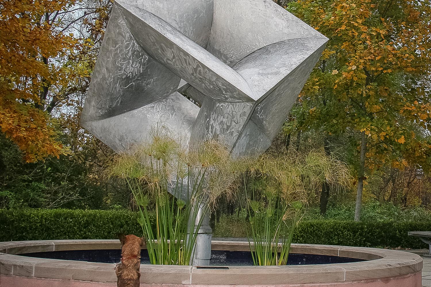 Virginia B. Fairbanks Art & Nature Park: 100 Acres at Newfields 2