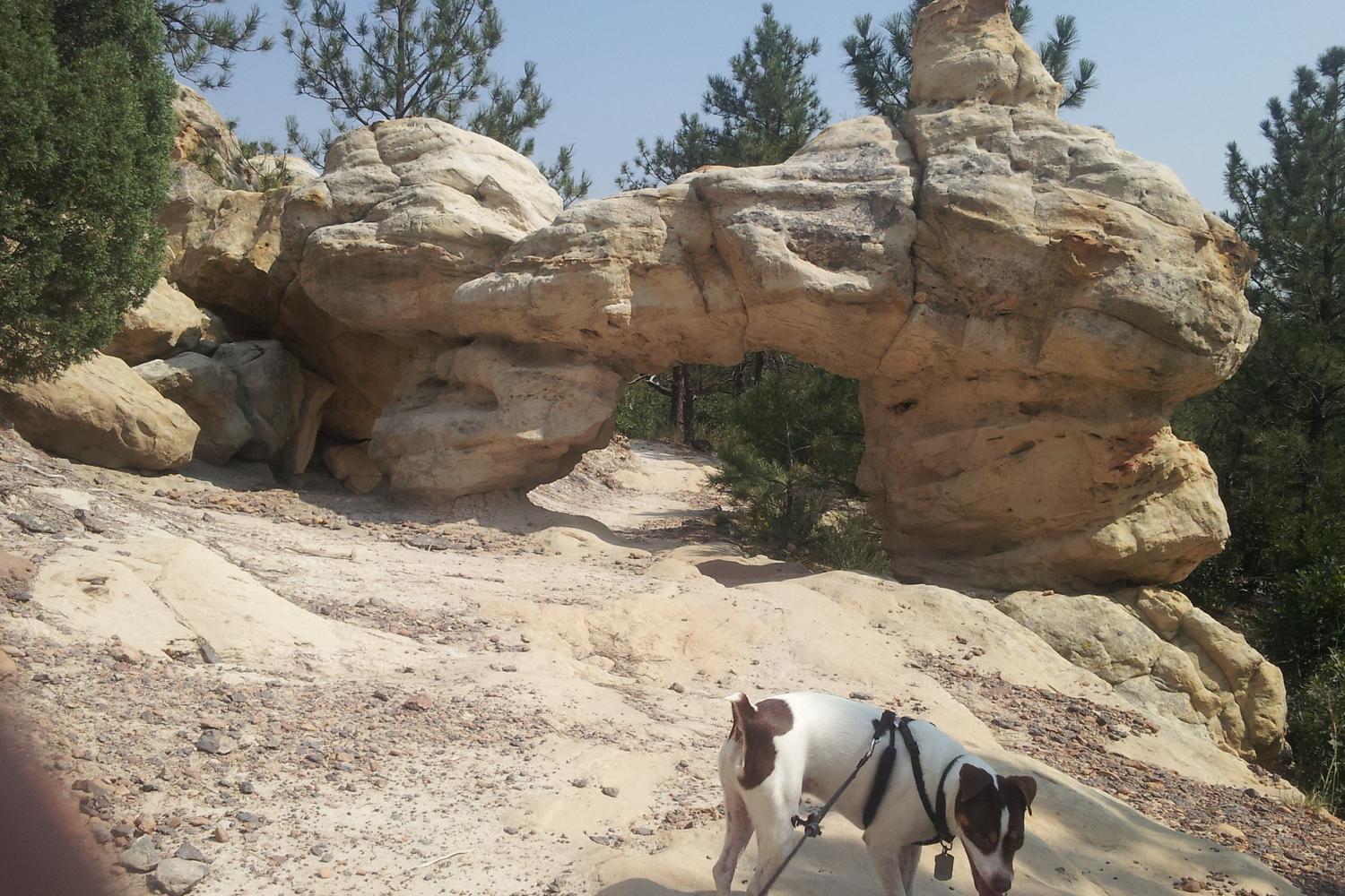 Ute Valley Park 6