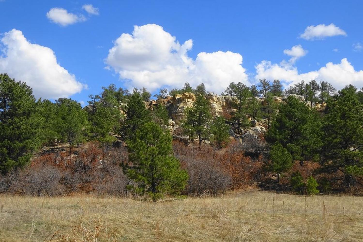 Ute Valley Park 2