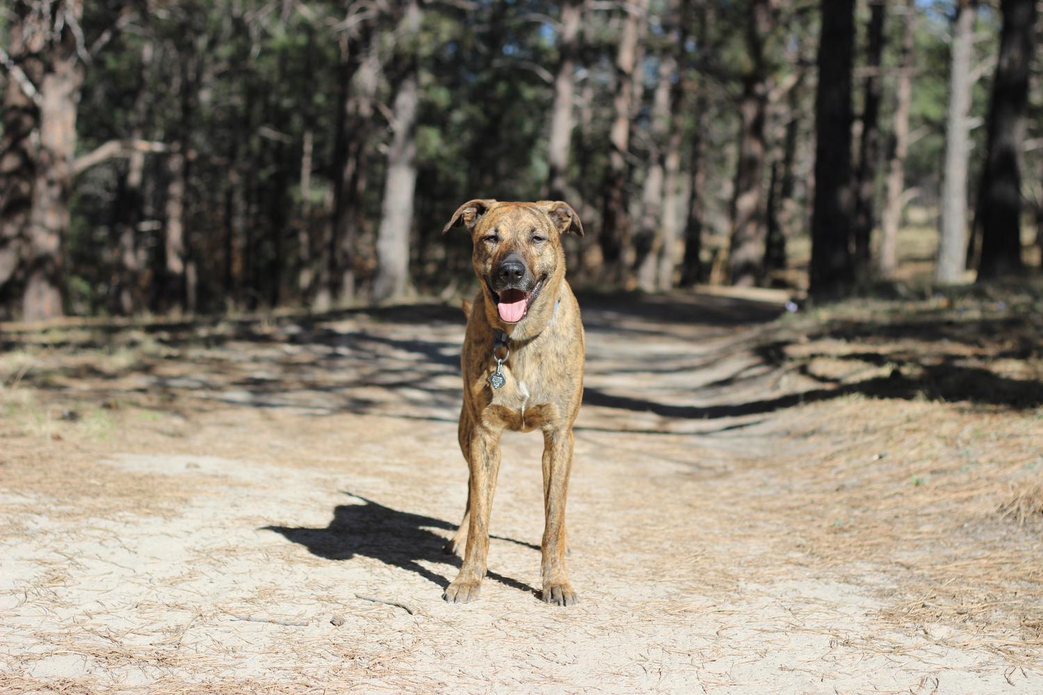 Ute Valley Park 5