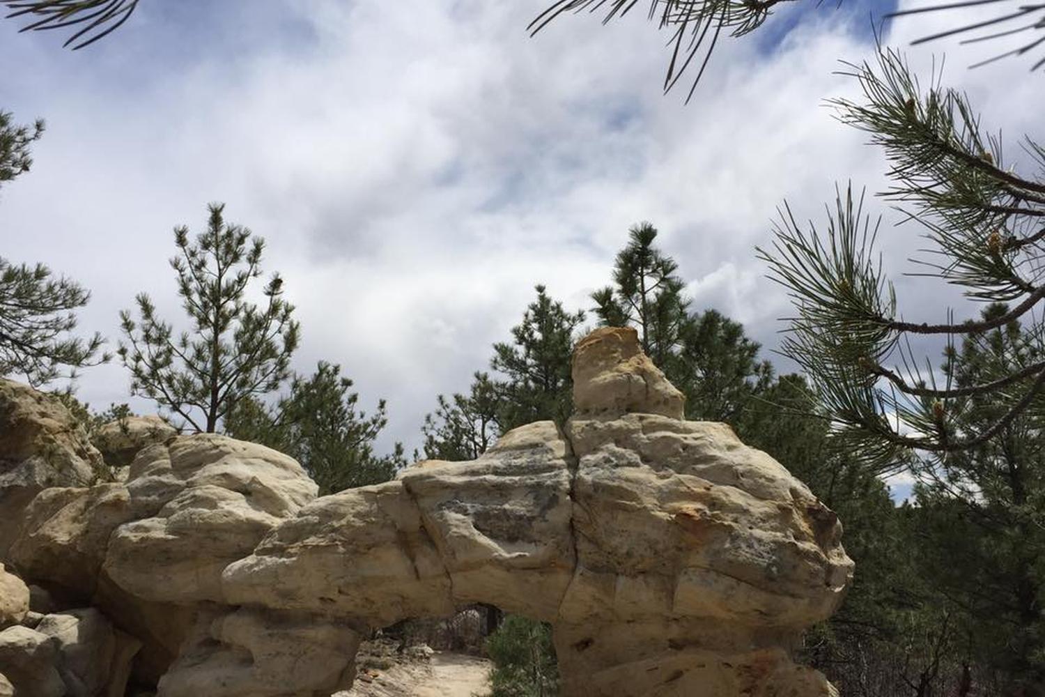 Ute Valley Park 0