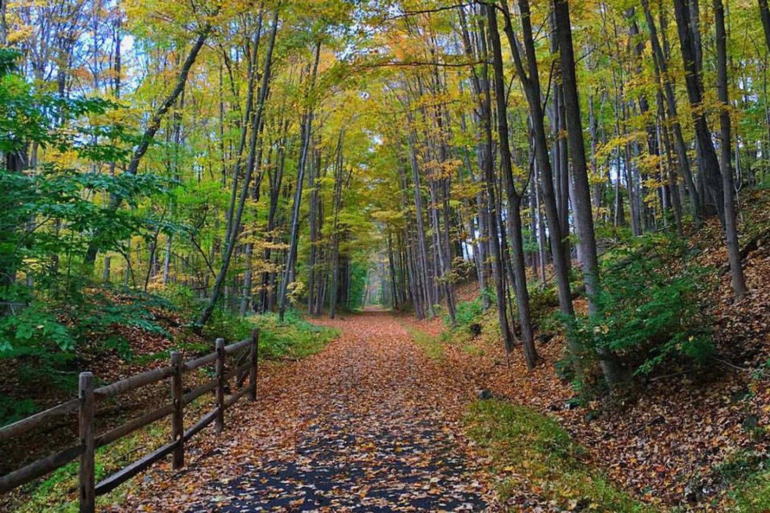 Kitchawan Preserve Trail 0