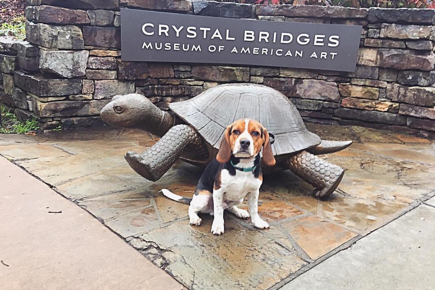 Crystal Bridges Trails and Grounds 0