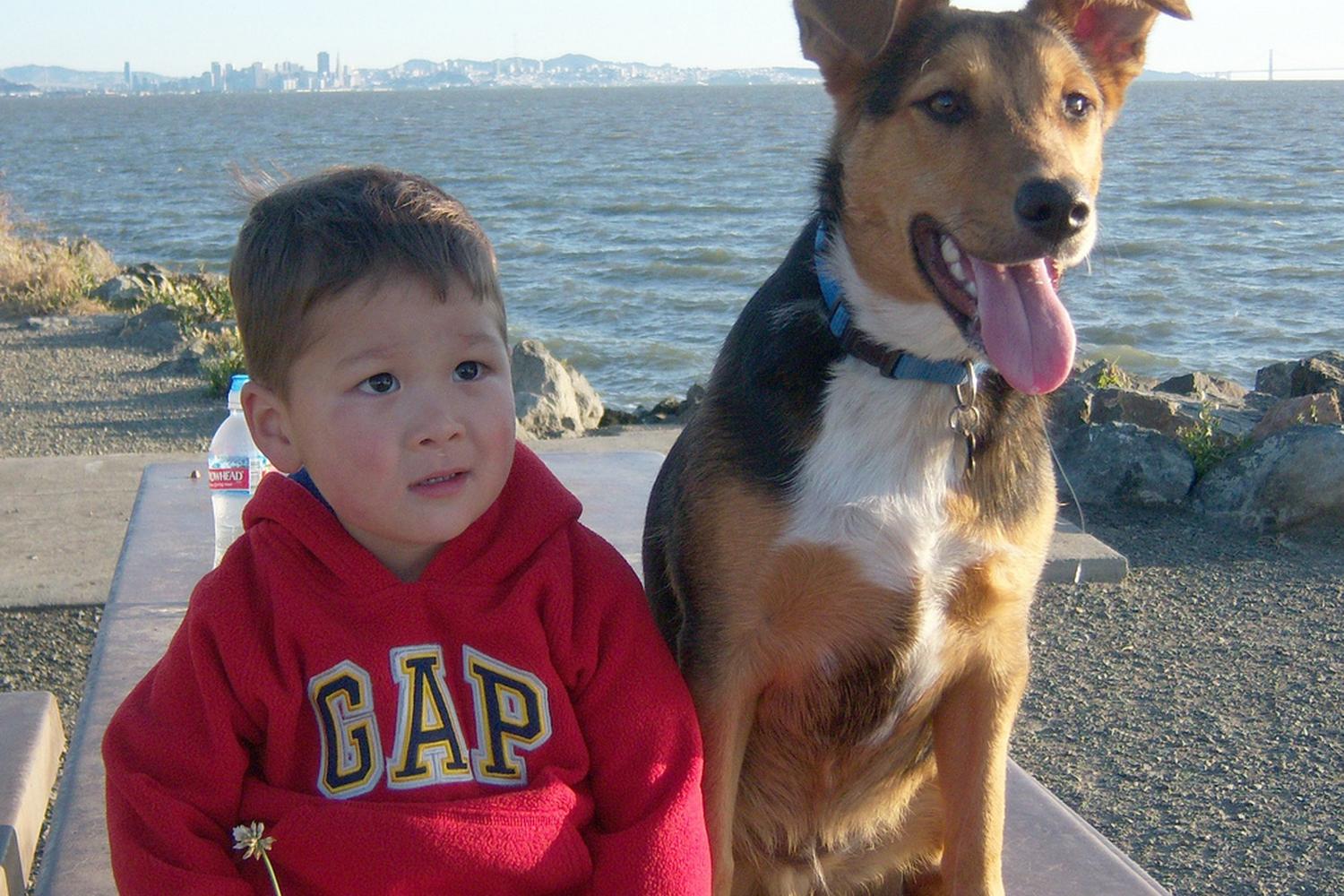 Point Isabel Regional Shoreline Dog Park 3