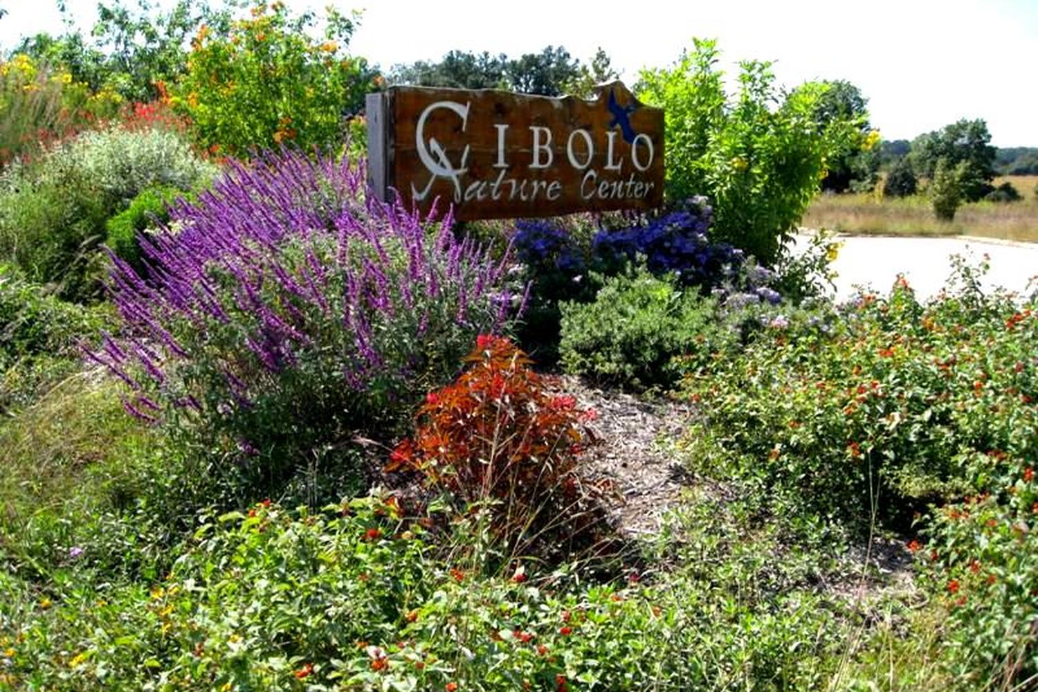Cibolo Nature Center & Farm 3
