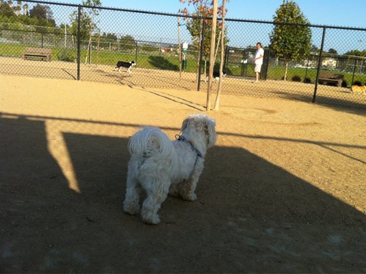 Sunset Park  3