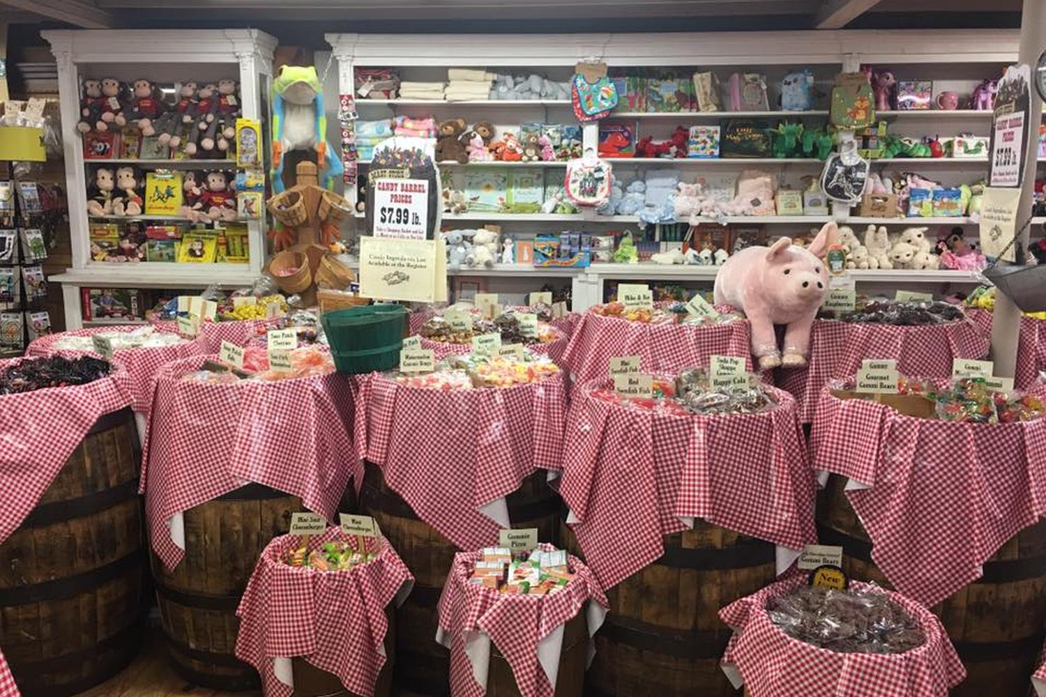 Mast General Store 2