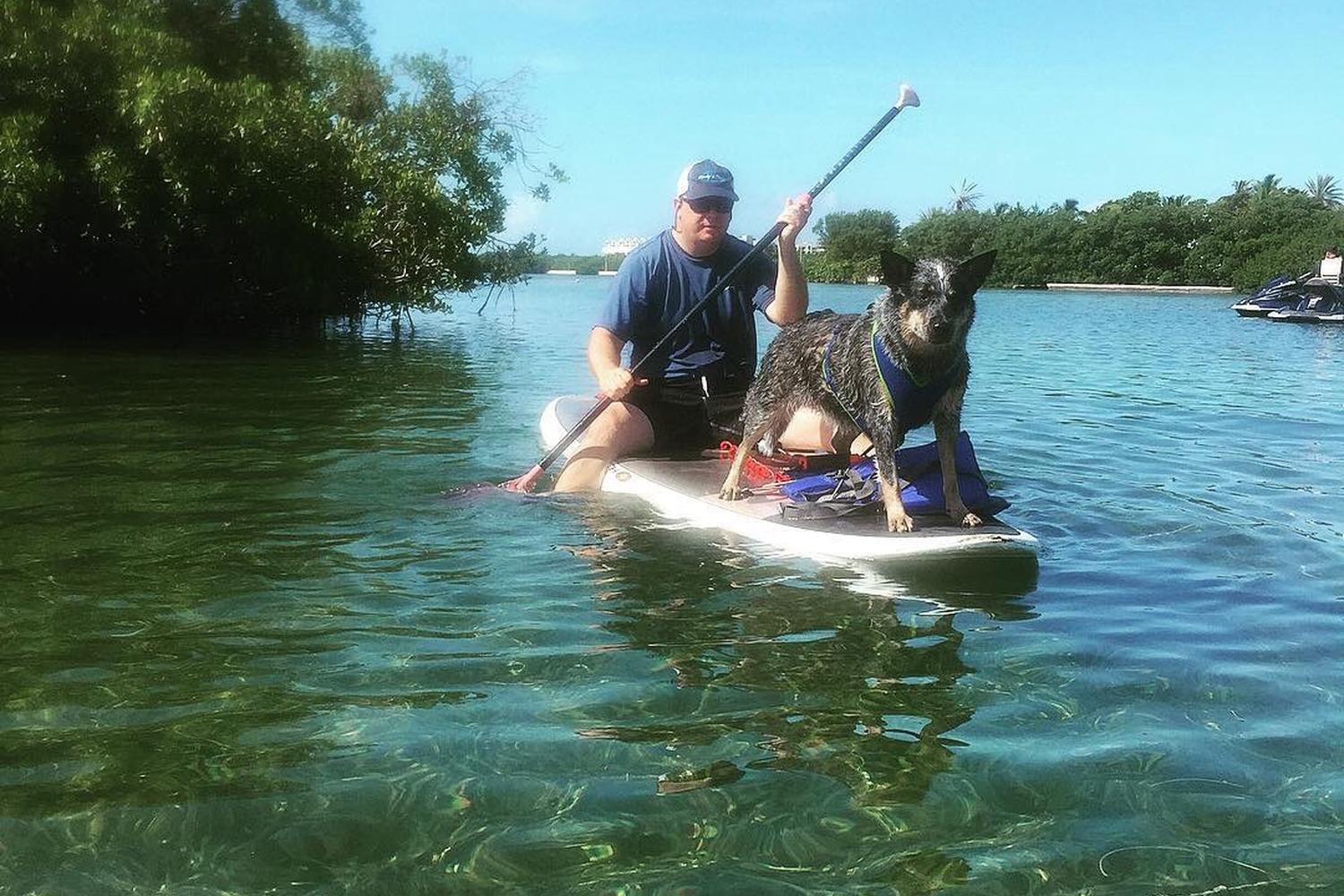 Lazy Dog Adventures 4