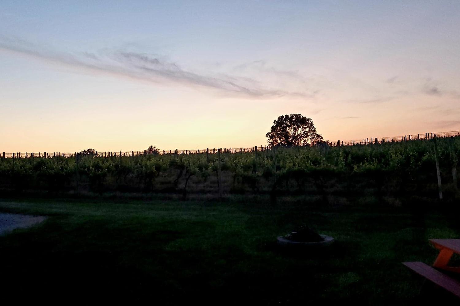 Kreutz Creek Vineyards and Winery 1