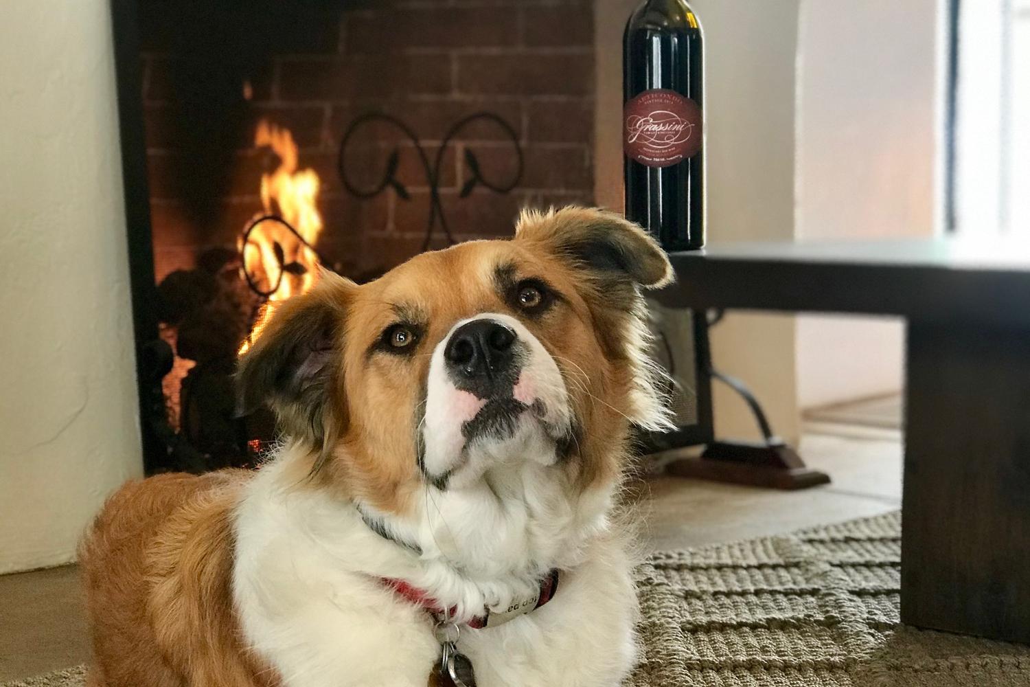Grassini Family Vineyards 0