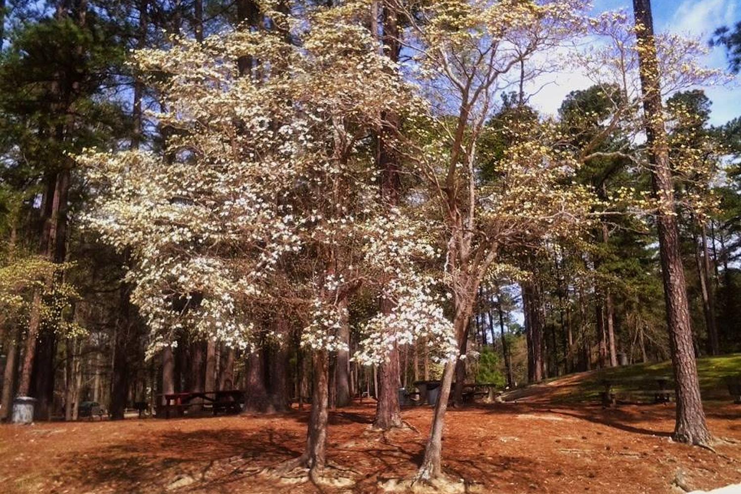 Fort Yargo State Park 3