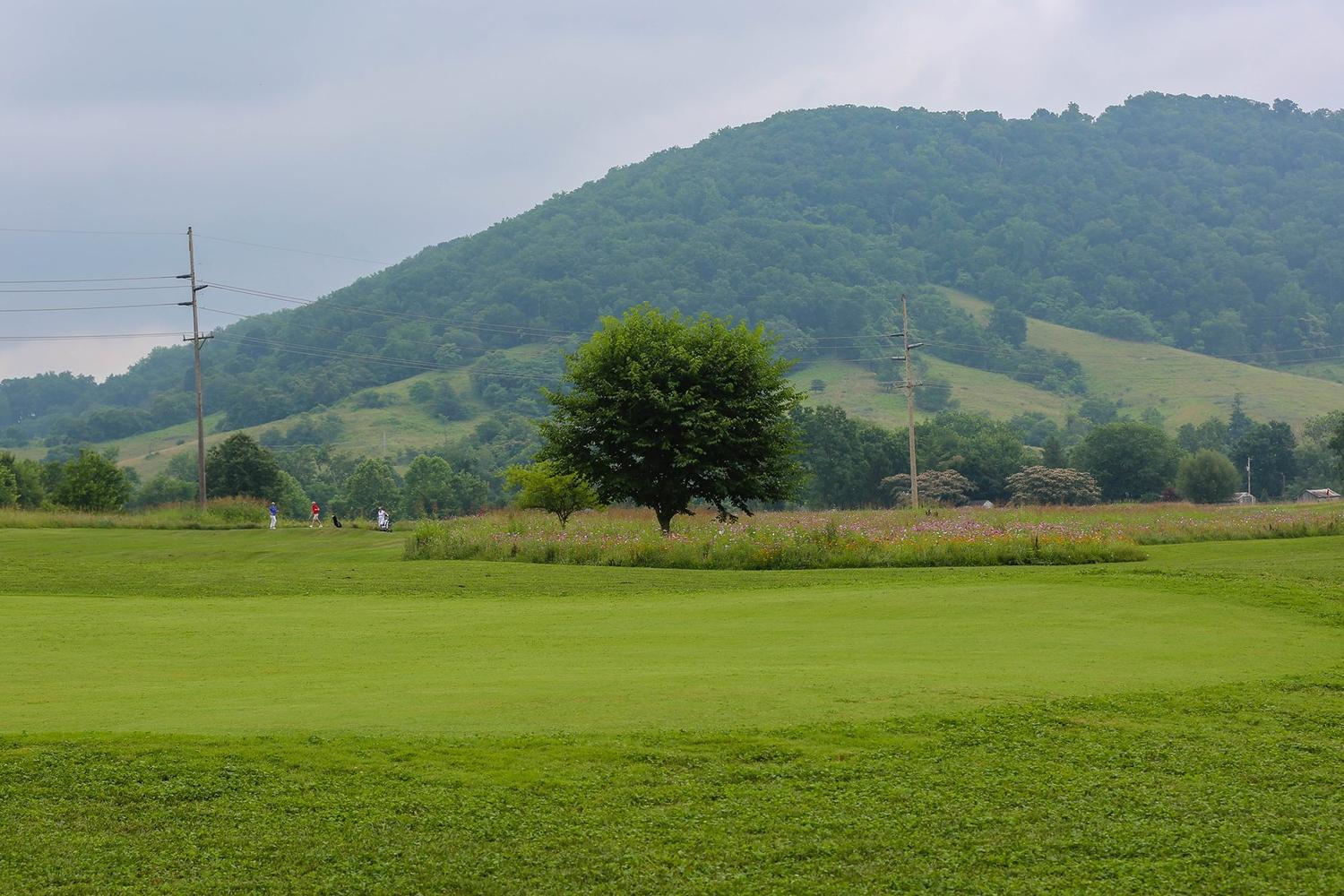 Schoolhouse Nine Golf Course 4