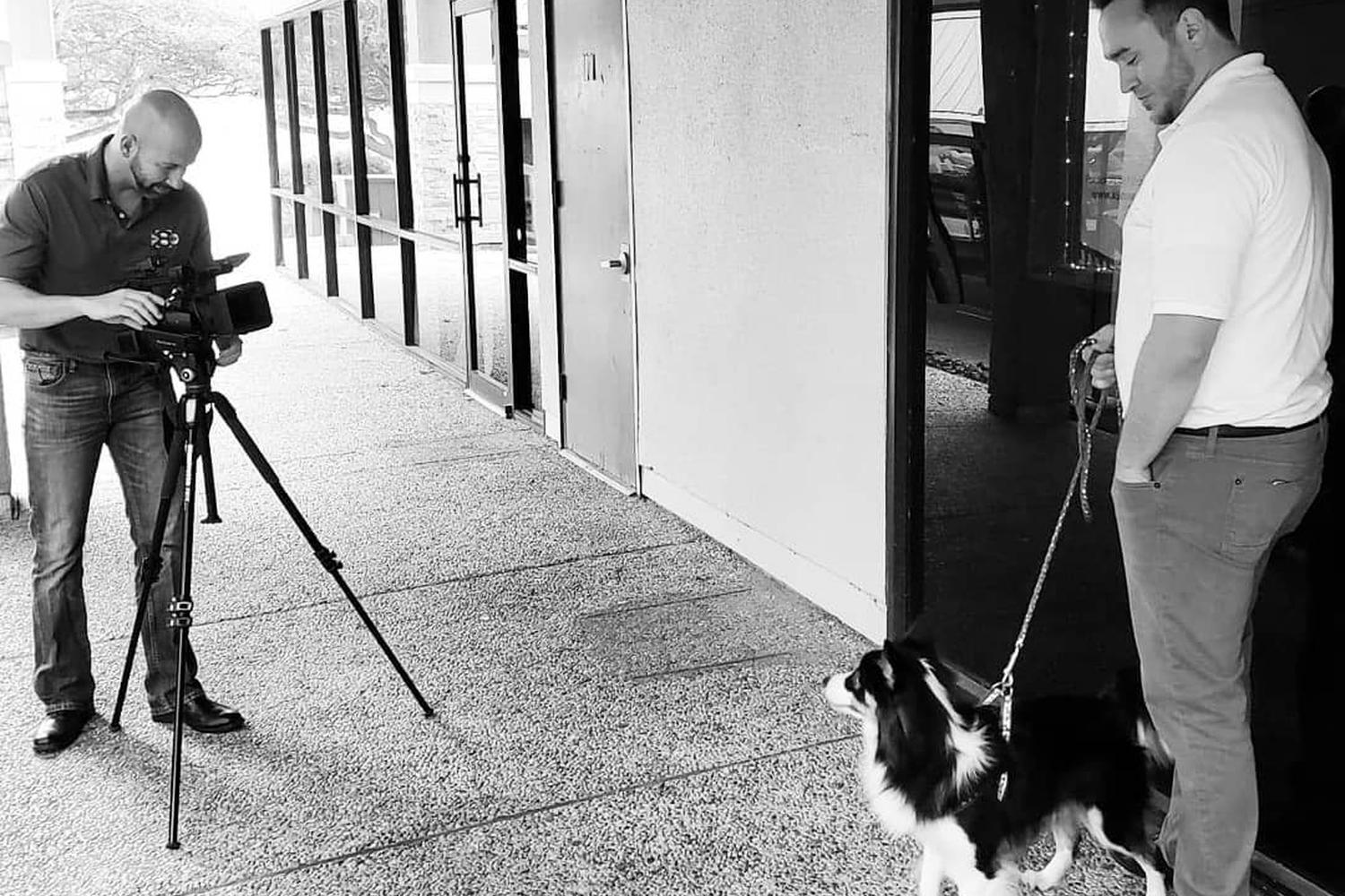K9 Cinemas 4