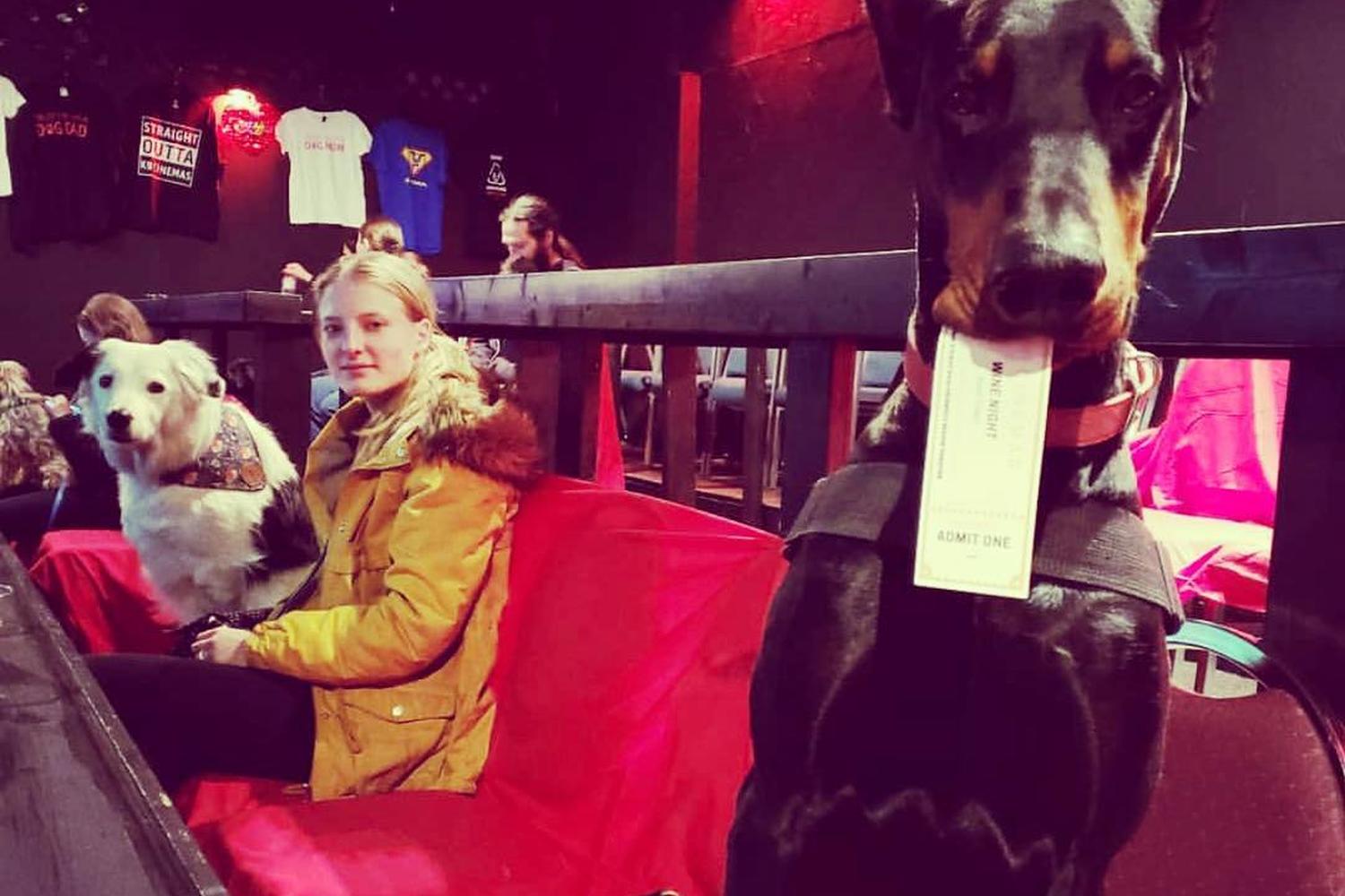 K9 Cinemas 2