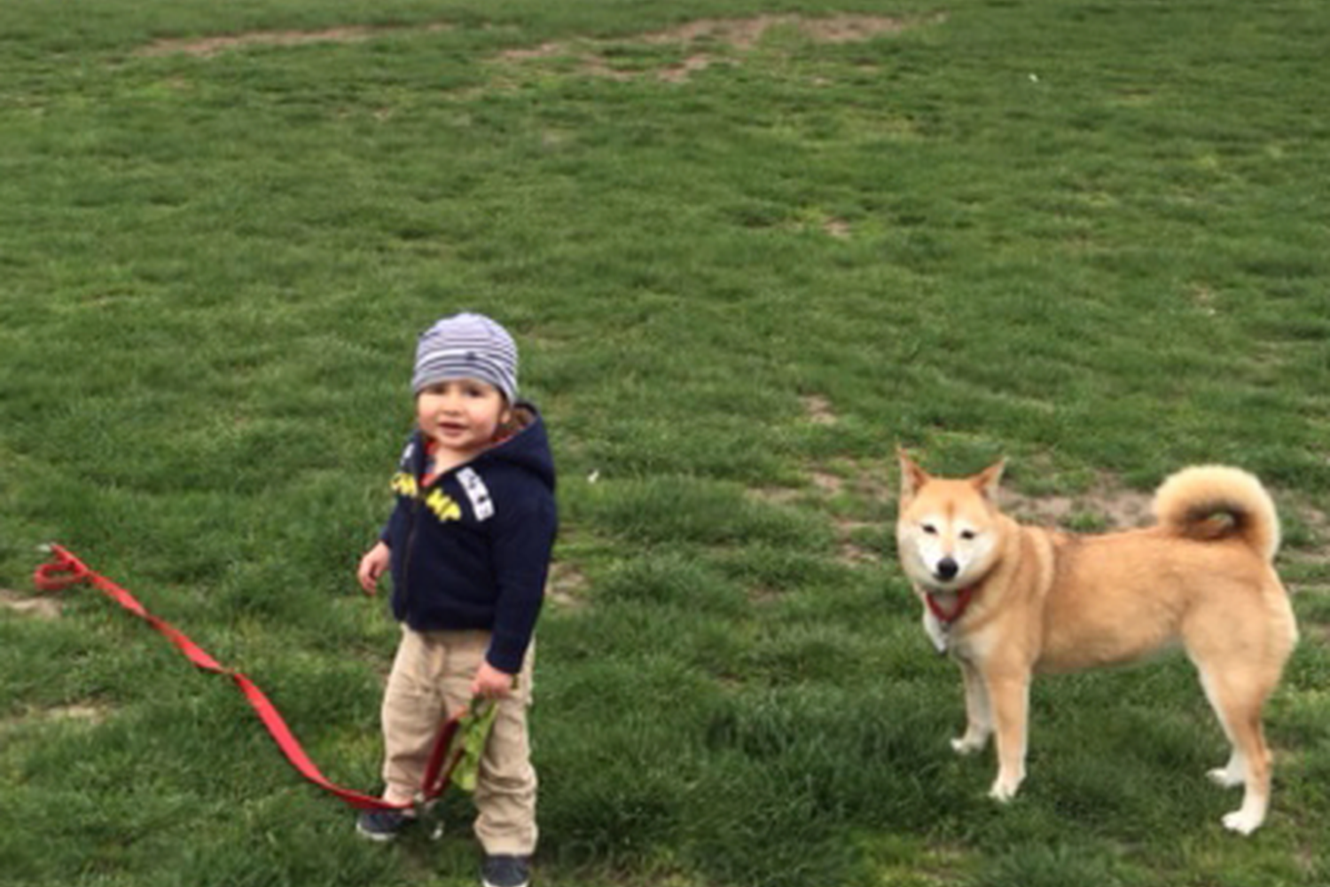 Brooklyn Bark 0