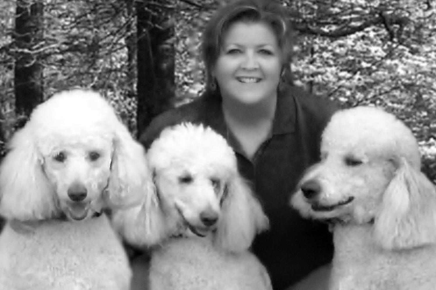 Southern Paws Pet Sitting/Daily Dog Walking 3