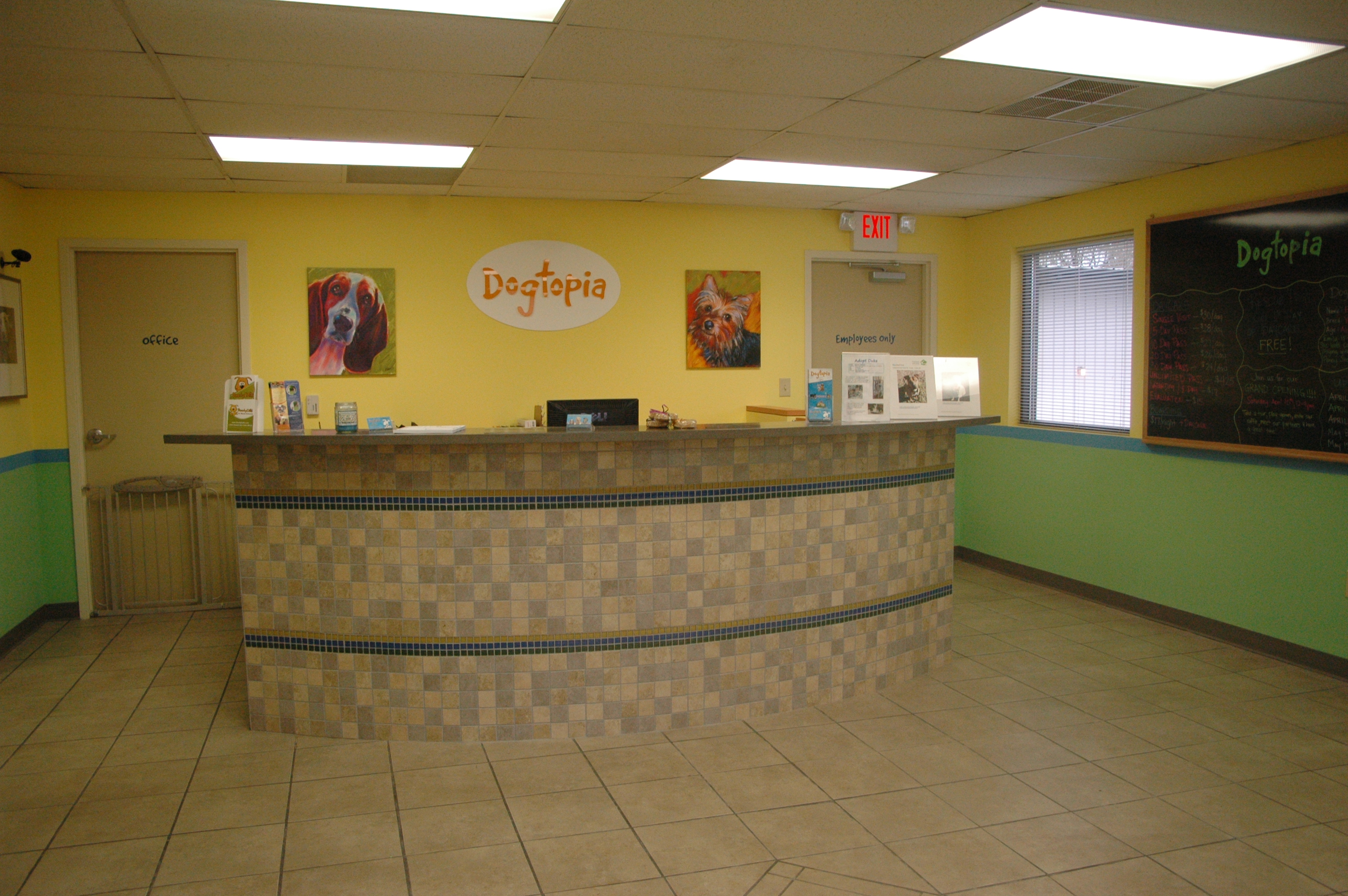 Dogtopia of Charlotte 4