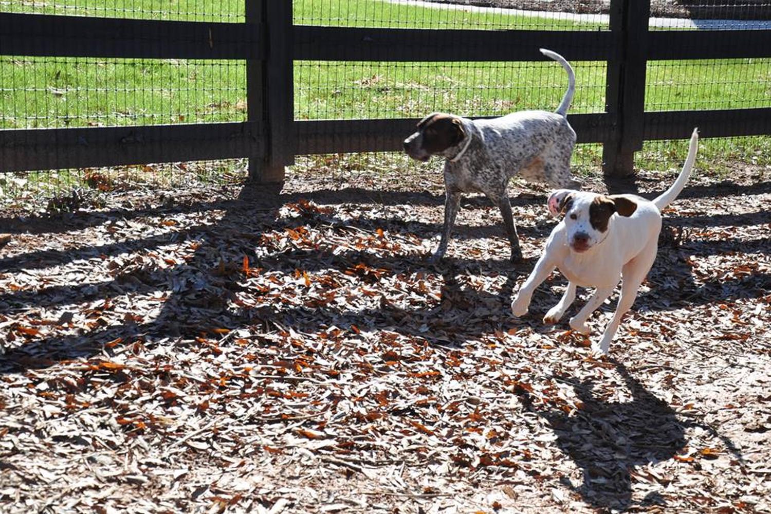 Countryside Pet Estates 4